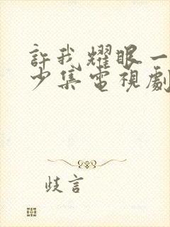 许我耀眼一共多少集电视剧啊