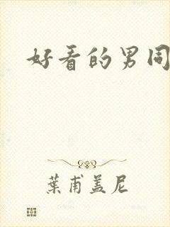 好看的男同小说