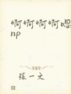 啊啊啊啊嗯嗯嗯np