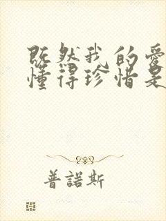 既然我的爱你不懂得珍惜是什么歌