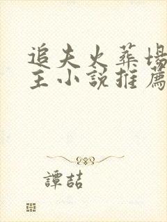 追夫火葬场双男主小说推荐