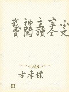 武神主宰小说免费阅读全文无弹窗