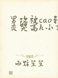 男攻被cao到爽哭高h小说