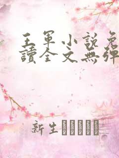 王军小说免费阅读全文无弹窗