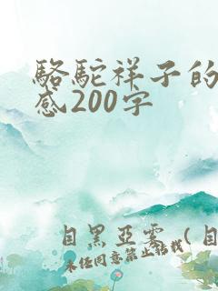 骆驼祥子的读后感200字