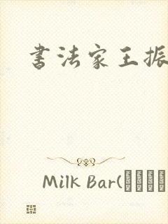 书法家王振简介