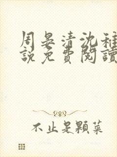 周晏清沈稚的小说免费阅读无弹窗