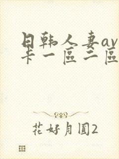 日韩人妻av不卡一区二区三区