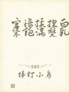 官场揉捏白嫩高耸饱满双乳