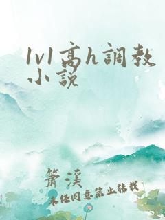 1v1高h调教小说