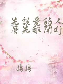 先说爱的人为什么先离开dj