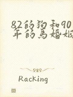 82的狗和90年的马婚姻相配吗