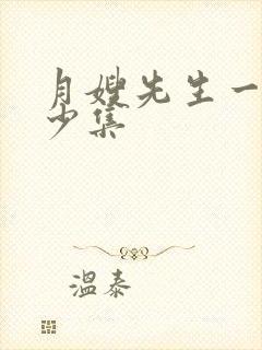 月嫂先生一共多少集