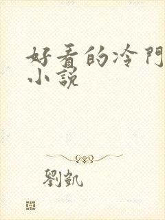 好看的冷门言情小说