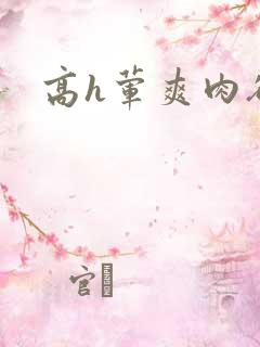 高h荤爽肉欲文