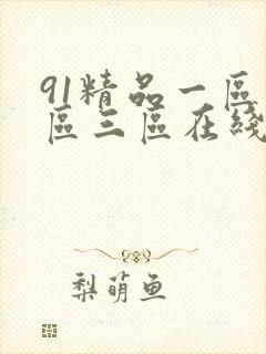 91精品一区二区三区在线观看