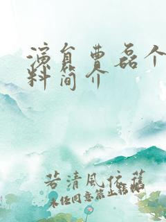 演员曹磊个人资料简介