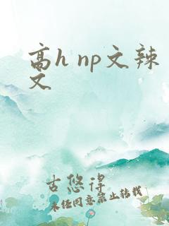 高h np文辣文