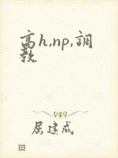 高h,np,调教