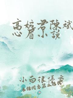 高婉君陈斌和赵心眉小说