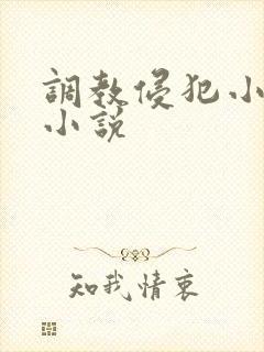 调教侵犯小男生小说