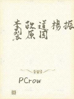 李政道杨振宁决裂原因