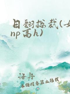 日翻总裁(女攻np高h)