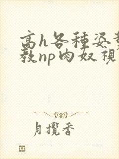 高h各种姿势调教np肉奴视频