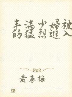 丰满少妇被粗大的猛烈进入