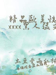 精品欧美性猛交xxxx黑人猛交