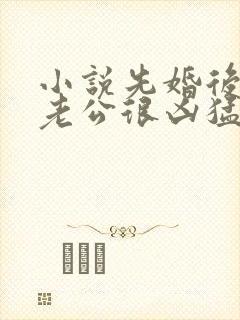 小说先婚后爱:老公很凶猛免费阅读