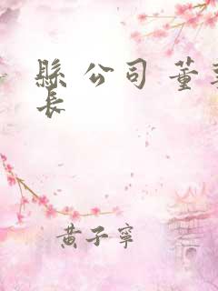 县 公司 董事长