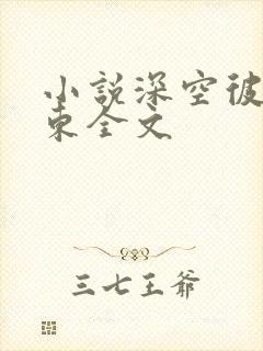 小说深空彼岸辰东全文