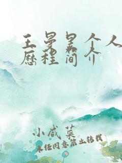 王曼昱个人资料历程简介