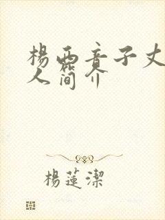 杨西音子丈夫个人简介