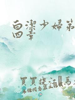 白洁少妇第二十四章