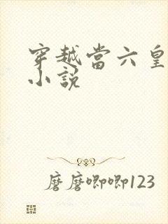 穿越当六皇子的小说