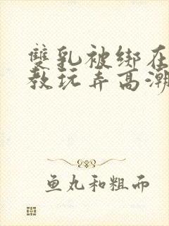 双乳被绑在床调教玩弄高潮小说