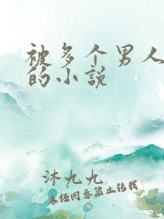 被多个男人玩弄的小说