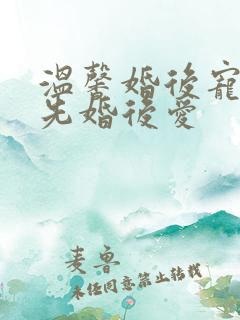 温馨婚后宠文 先婚后爱