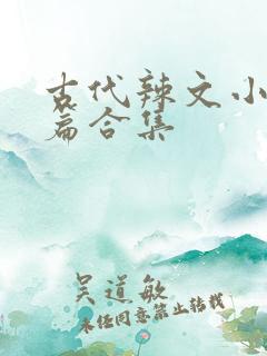 古代辣文小说短篇合集