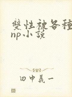 双性被各种淫玩np小说