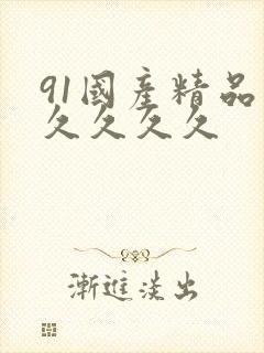 91国产精品久久久久久