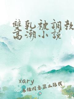 双乳被调教玩弄高潮小说