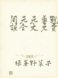 周元元尊战神小说全文免费