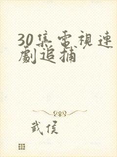 30集电视连续剧追捕