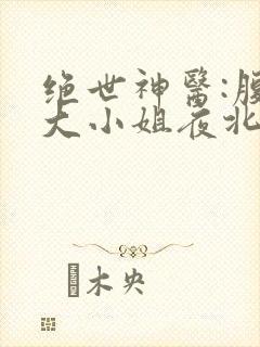 绝世神医:腹黑大小姐夜北