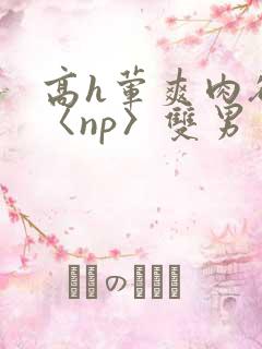 高h荤爽肉欲文〈np〉双男