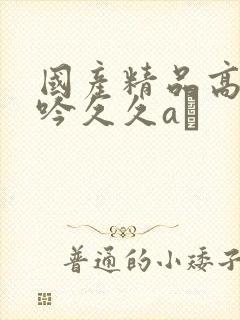 国产精品高潮呻吟久久aγ