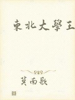 东北大学王泓潇